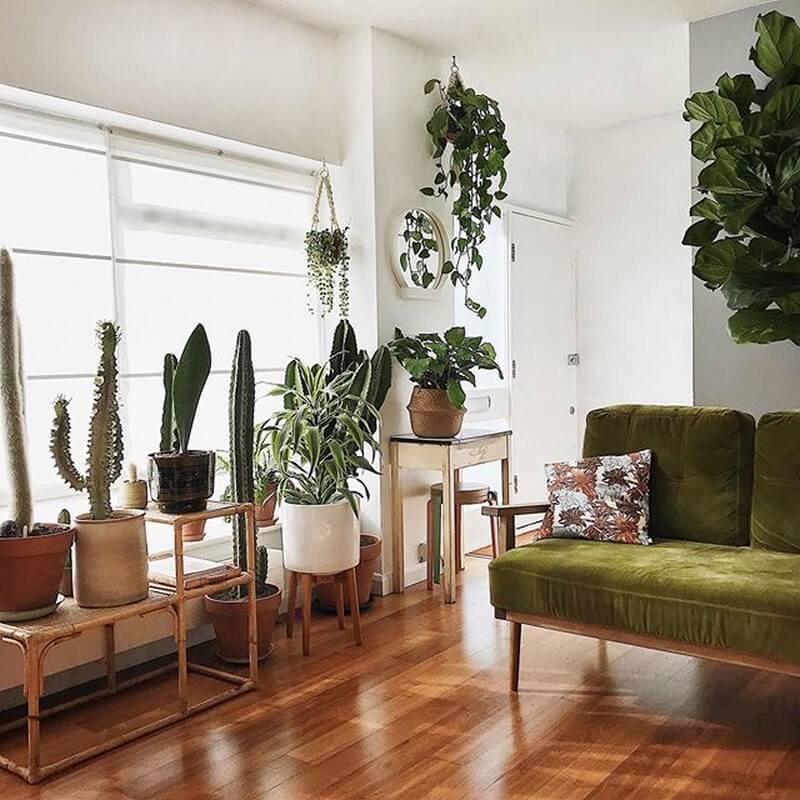 DIY-How To Decorate Your Home With Plants? | Living Style Ideas